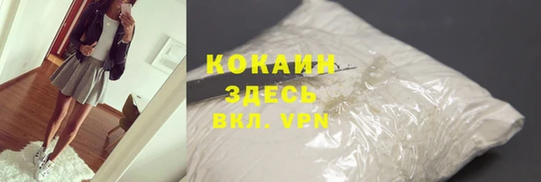 стафф Арсеньев