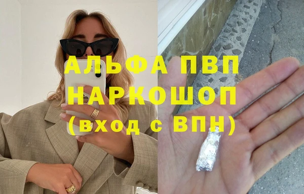 стафф Арсеньев