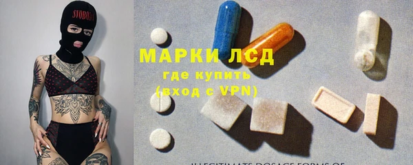 стафф Арсеньев