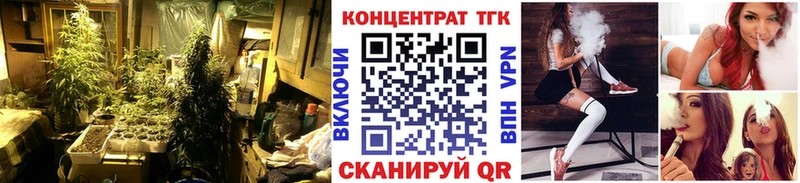 omg как войти  darknet как зайти  ТГК жижа  Нязепетровск 