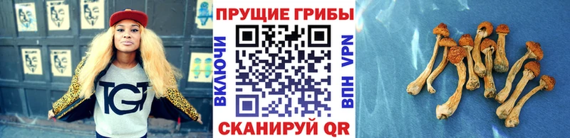 Галлюциногенные грибы GOLDEN TEACHER  Нязепетровск 